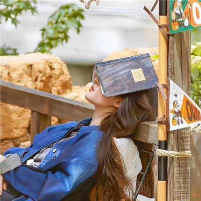 伊克巴尔之超级芯片